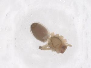  ( - CBG-B02414-B05)  @11 [ ] CreativeCommons - Attribution Share - Alike (2025) Centre for Biodiversity Genomics Centre for Biodiversity Genomics