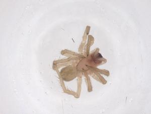  ( - CBG-B02414-D10)  @11 [ ] CreativeCommons - Attribution Share - Alike (2025) Centre for Biodiversity Genomics Centre for Biodiversity Genomics