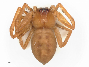  ( - CBG-B02482-H07)  @11 [ ] CreativeCommons - Attribution Share - Alike (2025) CBG Photography Group Centre for Biodiversity Genomics