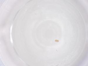  ( - CBG-B20200-A10)  @11 [ ] CreativeCommons - Attribution Share - Alike (2025) Centre for Biodiversity Genomics Centre for Biodiversity Genomics