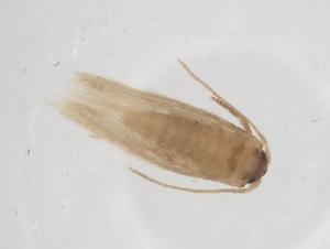  ( - CBG-B20202-F04)  @11 [ ] CreativeCommons - Attribution Share - Alike (2025) Centre for Biodiversity Genomics Centre for Biodiversity Genomics