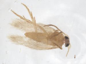  ( - CBG-B20202-H10)  @11 [ ] CreativeCommons - Attribution Share - Alike (2025) Centre for Biodiversity Genomics Centre for Biodiversity Genomics