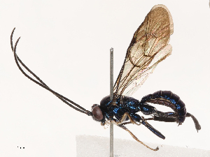  ( - CBG-B01658-E05)  @11 [ ] CreativeCommons - Attribution Share - Alike (2025) CBG Photography Group Centre for Biodiversity Genomics