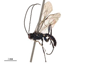  ( - CBG-B01663-F08)  @11 [ ] CreativeCommons - Attribution Share - Alike (2025) CBG Photography Group Centre for Biodiversity Genomics