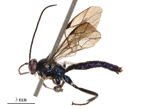  ( - CBG-B01663-G05)  @11 [ ] CreativeCommons - Attribution Share - Alike (2025) CBG Photography Group Centre for Biodiversity Genomics