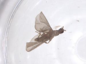  ( - CBG-B01749-H07)  @11 [ ] CreativeCommons - Attribution Share - Alike (2025) Centre for Biodiversity Genomics Centre for Biodiversity Genomics