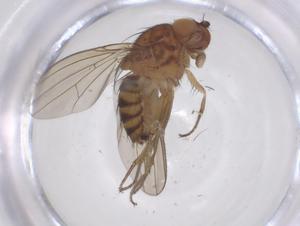  ( - CBG-B01752-D05)  @11 [ ] CreativeCommons - Attribution Share - Alike (2025) Centre for Biodiversity Genomics Centre for Biodiversity Genomics