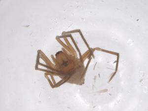  ( - CBG-B02042-E05)  @11 [ ] CreativeCommons - Attribution Share - Alike (2025) Centre for Biodiversity Genomics Centre for Biodiversity Genomics