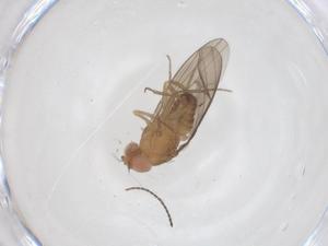  ( - CBG-B02198-G09)  @11 [ ] CreativeCommons - Attribution Share - Alike (2025) Centre for Biodiversity Genomics Centre for Biodiversity Genomics