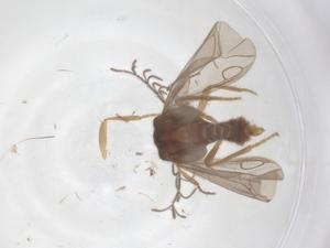  ( - CBG-B03292-A08)  @11 [ ] CreativeCommons - Attribution Share - Alike (2025) Centre for Biodiversity Genomics Centre for Biodiversity Genomics