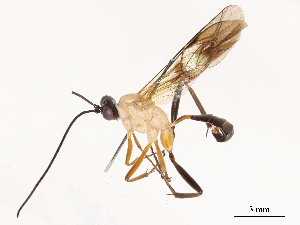  ( - CBG-B03421-E07)  @11 [ ] CreativeCommons - Attribution Share - Alike (2025) CBG Photography Group Centre for Biodiversity Genomics