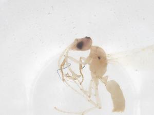  ( - CBG-B04540-G02)  @11 [ ] CreativeCommons - Attribution Share - Alike (2025) Centre for Biodiversity Genomics Centre for Biodiversity Genomics