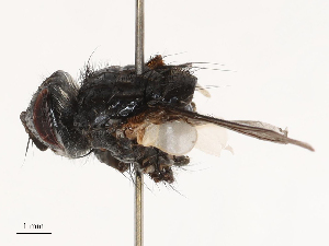  ( - CBG-B04803-E07)  @11 [ ] CreativeCommons - Attribution Share - Alike (2025) CBG Photography Group Centre for Biodiversity Genomics