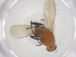  ( - CBG-B04867-G02)  @11 [ ] CreativeCommons - Attribution Share - Alike (2025) Centre for Biodiversity Genomics Centre for Biodiversity Genomics