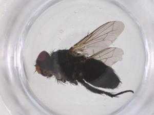  ( - CBG-B04907-C06)  @11 [ ] CreativeCommons - Attribution Share - Alike (2025) Centre for Biodiversity Genomics Centre for Biodiversity Genomics