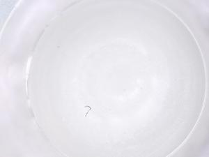  ( - CBG-B22578-A12)  @11 [ ] CreativeCommons - Attribution Share - Alike (2025) Centre for Biodiversity Genomics Centre for Biodiversity Genomics