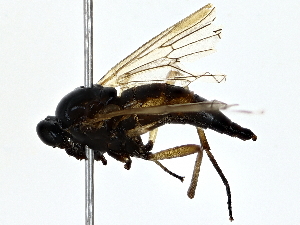  ( - BIOUG79490-D01)  @11 [ ] CreativeCommons - Attribution (2022) CBG Photography Group Centre for Biodiversity Genomics