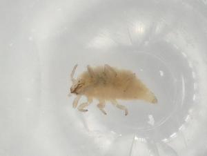  ( - BIOUG77262-H09)  @11 [ ] CreativeCommons - Attribution (2022) Centre for Biodiversity Genomics Centre for Biodiversity Genomics