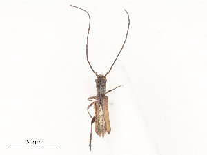  ( - CBG-A48504-C08)  @11 [ ] CreativeCommons - Attribution Share - Alike (2024) CBG Photography Group Centre for Biodiversity Genomics