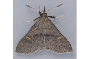  ( - MDOK-1346)  @13 [ ] Copyright (2010) Unspecified Unspecified