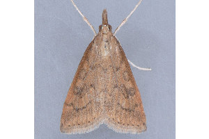  ( - MDOK-1930)  @13 [ ] Copyright (2010) Unspecified Unspecified
