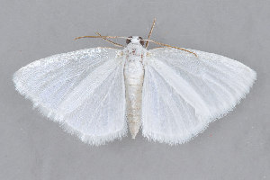  ( - MDOK-2145)  @13 [ ] Copyright (2010) Unspecified Unspecified