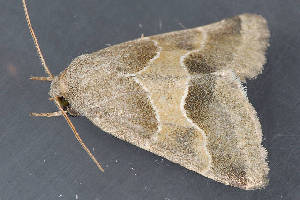  ( - MDOK-3237)  @12 [ ] Copyright (2010) Unspecified Unspecified