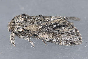  ( - MDOK-3254)  @12 [ ] Copyright (2010) Unspecified Unspecified