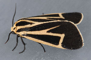  ( - MDOK-3256)  @12 [ ] Copyright (2010) Unspecified Unspecified