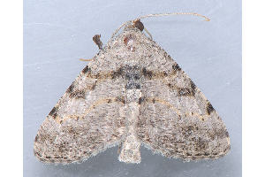  ( - MDOK-3363)  @12 [ ] Copyright (2010) Unspecified Unspecified