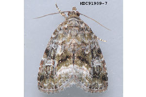  ( - MDOK-3464)  @13 [ ] Copyright (2010) Unspecified Unspecified