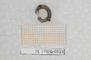  ( - BC-LPRIG-0523)  @11 [ ] by-nc-sa (2025) Thibaud Deca&euml;ns Universite Montpellier, CEFE Lab