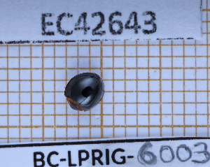  ( - BC-LPRIG-6003)  @11 [ ] CC-By (2025) Rodolphe Rougerie MNHN