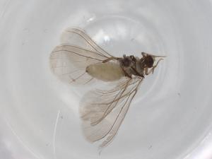  ( - BIOUG78104-H11)  @11 [ ] CreativeCommons - Attribution (2022) Centre for Biodiversity Genomics Centre for Biodiversity Genomics