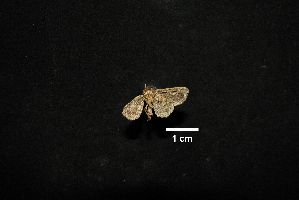  ( - MAL-00646)  @12 [ ] Unspecified (default): All Rights Reserved  Unspecified Unspecified