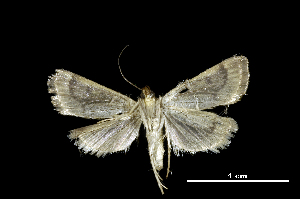  ( - MAL-01115)  @12 [ ] Unspecified (default): All Rights Reserved  Unspecified Unspecified