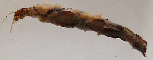  ( - JOS257)  @11 [ ] Unspecified (default): All Rights Reserved  Unspecified Unspecified