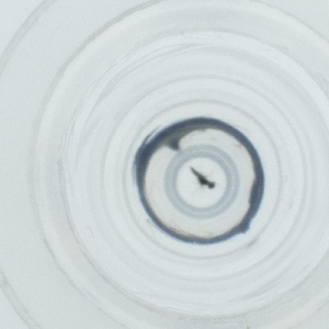  ( - LUHW_003_D5)  @11 [ ] by  Genome Research Ltd as Wellcome Sanger Institute Genome Research Limited operating as Wellcome Sanger Institute