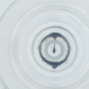  ( - LUHW_003_E2)  @11 [ ] by  Genome Research Ltd as Wellcome Sanger Institute Genome Research Limited operating as Wellcome Sanger Institute