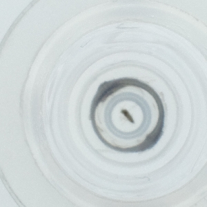  ( - LUHW_003_F5)  @11 [ ] by  Genome Research Ltd as Wellcome Sanger Institute Genome Research Limited operating as Wellcome Sanger Institute