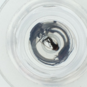  ( - LWTC_005_E9)  @11 [ ] by  Genome Research Ltd as Wellcome Sanger Institute Genome Research Limited operating as Wellcome Sanger Institute