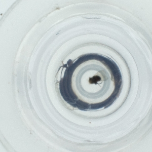  ( - LWTC_009_A2)  @11 [ ] by  Genome Research Ltd as Wellcome Sanger Institute Genome Research Limited operating as Wellcome Sanger Institute