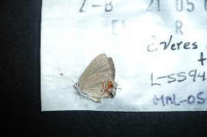  ( - MAL-05011)  @12 [ ] Unspecified (default): All Rights Reserved  Unspecified Unspecified