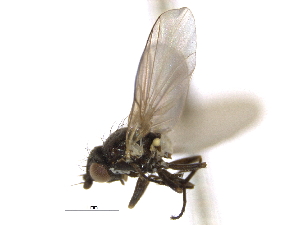  ( - CCDB-21326-H10)  @11 [ ] CreativeCommons - Attribution (2014) CBG Photography Group Centre for Biodiversity Genomics