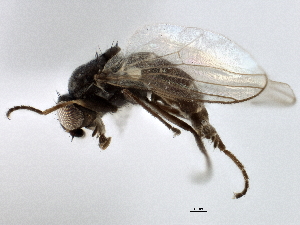  ( - CCDB-21328-D01)  @11 [ ] CreativeCommons - Attribution (2014) CBG Photography Group Centre for Biodiversity Genomics
