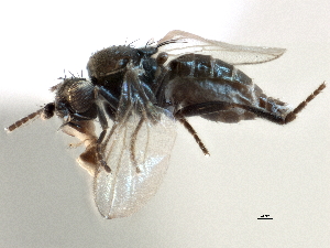  ( - CCDB-21403-D06)  @11 [ ] CreativeCommons - Attribution (2014) CBG Photography Group Centre for Biodiversity Genomics