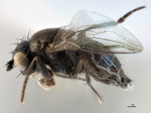  ( - CCDB-21403-D07)  @11 [ ] CreativeCommons - Attribution (2014) CBG Photography Group Centre for Biodiversity Genomics