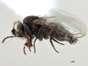  ( - CCDB-21403-D09)  @11 [ ] CreativeCommons - Attribution (2014) CBG Photography Group Centre for Biodiversity Genomics