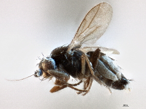  ( - CCDB-21403-D10)  @11 [ ] CreativeCommons - Attribution (2014) CBG Photography Group Centre for Biodiversity Genomics