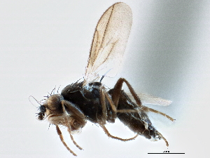  ( - CCDB-21403-D12)  @11 [ ] CreativeCommons - Attribution (2014) CBG Photography Group Centre for Biodiversity Genomics